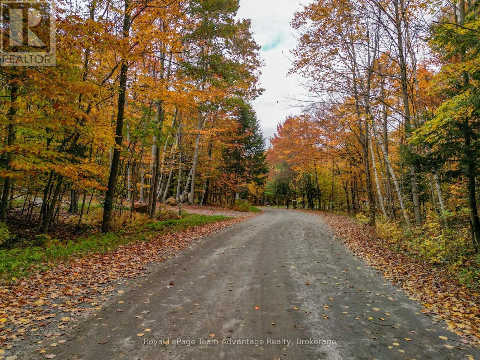 0 Mill Lake Trail, Mcdougall, Ontario  P2A 2W9 - Photo 6 - X12970400
