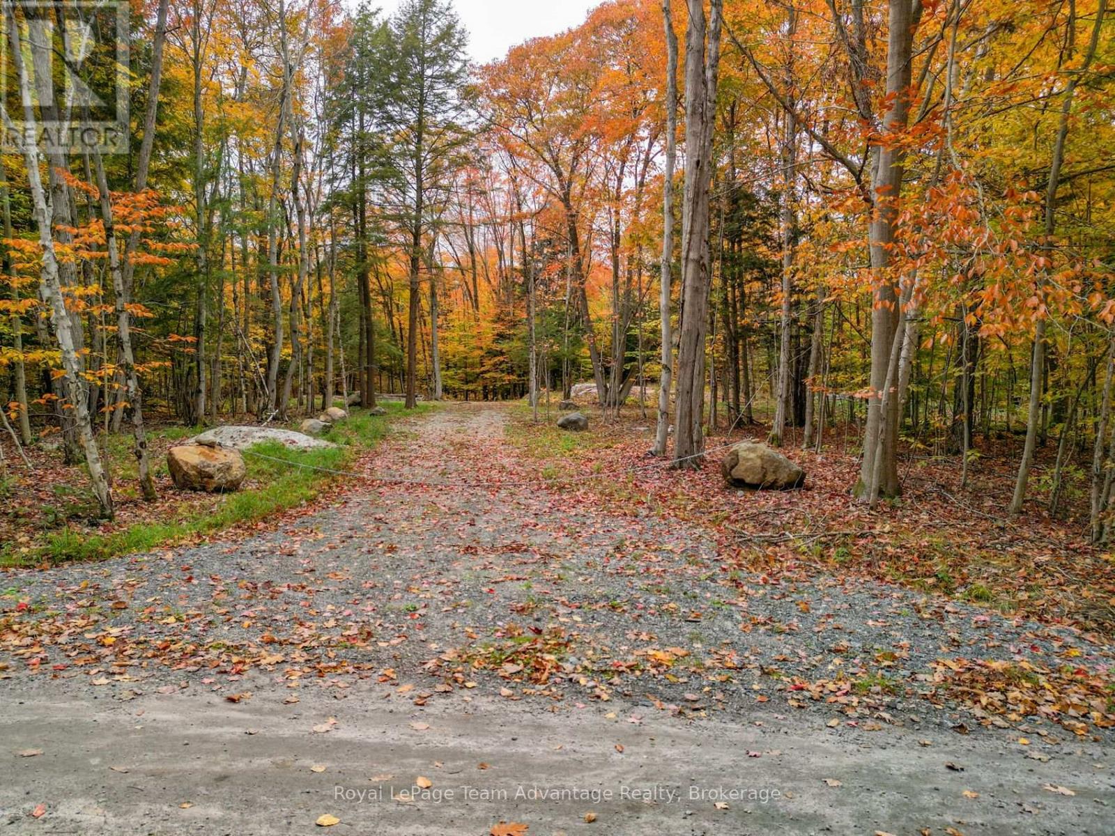 0 Mill Lake Trail, Mcdougall, Ontario  P2A 2W9 - Photo 7 - X12970400