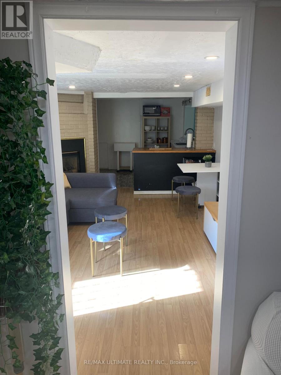 Bsmt - 38 Rolyat Street, Toronto, Ontario  M6J 1S6 - Photo 19 - C14080018