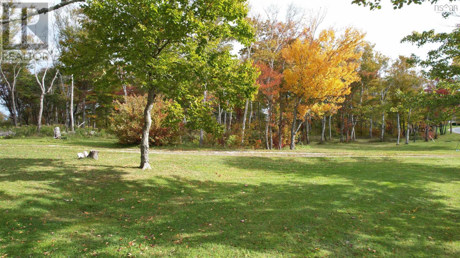 picture 43