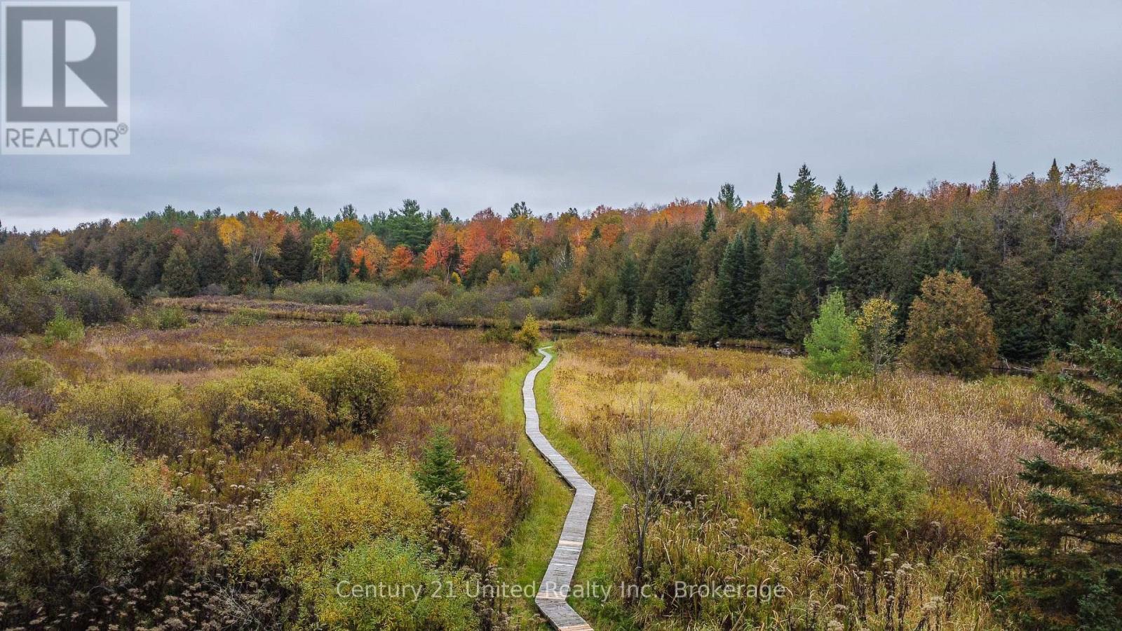 395 Sawmill Road, Douro-Dummer, Ontario  K0L 2H0 - Photo 10 - X14080140