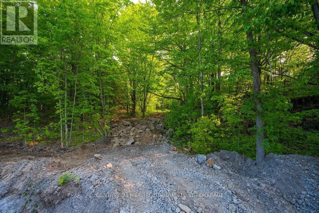 Lot 12 Hinterland Lane, Frontenac, Ontario K0H 2L0 - Photo 3 - X14080600