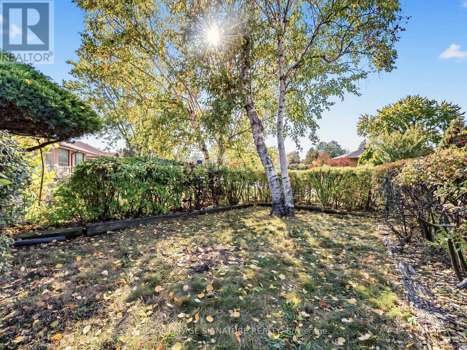 11 Albion Crescent, Brampton, Ontario  L6T 1L3 - Photo 30 - W14080564