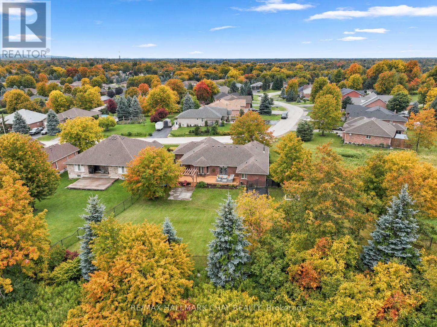 59 Dekker Street, Adjala-Tosorontio, Ontario  L0M 1J0 - Photo 41 - N13825086