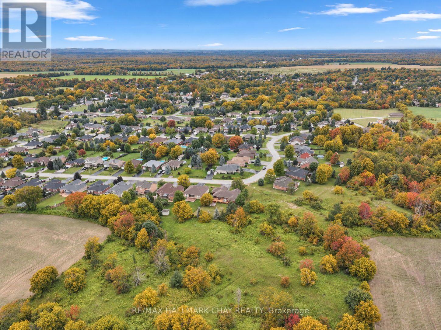 59 Dekker Street, Adjala-Tosorontio, Ontario  L0M 1J0 - Photo 46 - N13825086