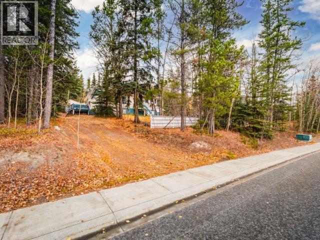 207 Squanga Ave, Whitehorse, Yukon  Y1A 3Y3 - Photo 23 - 17763