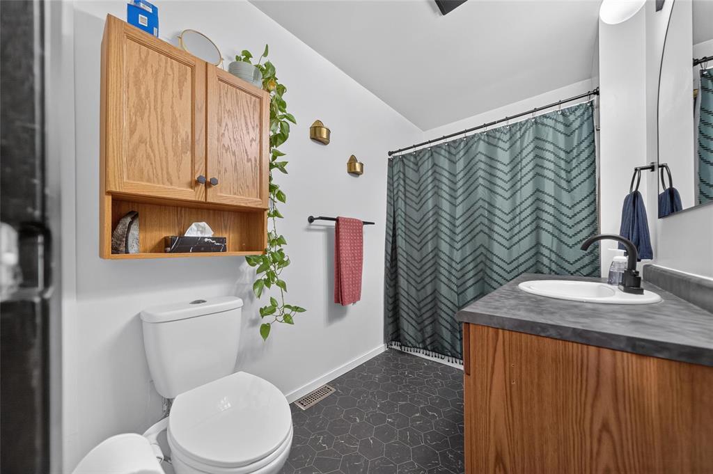 120 Yale Avenue E, Winnipeg, Manitoba  R2C 0H8 - Photo 21 - 202625721