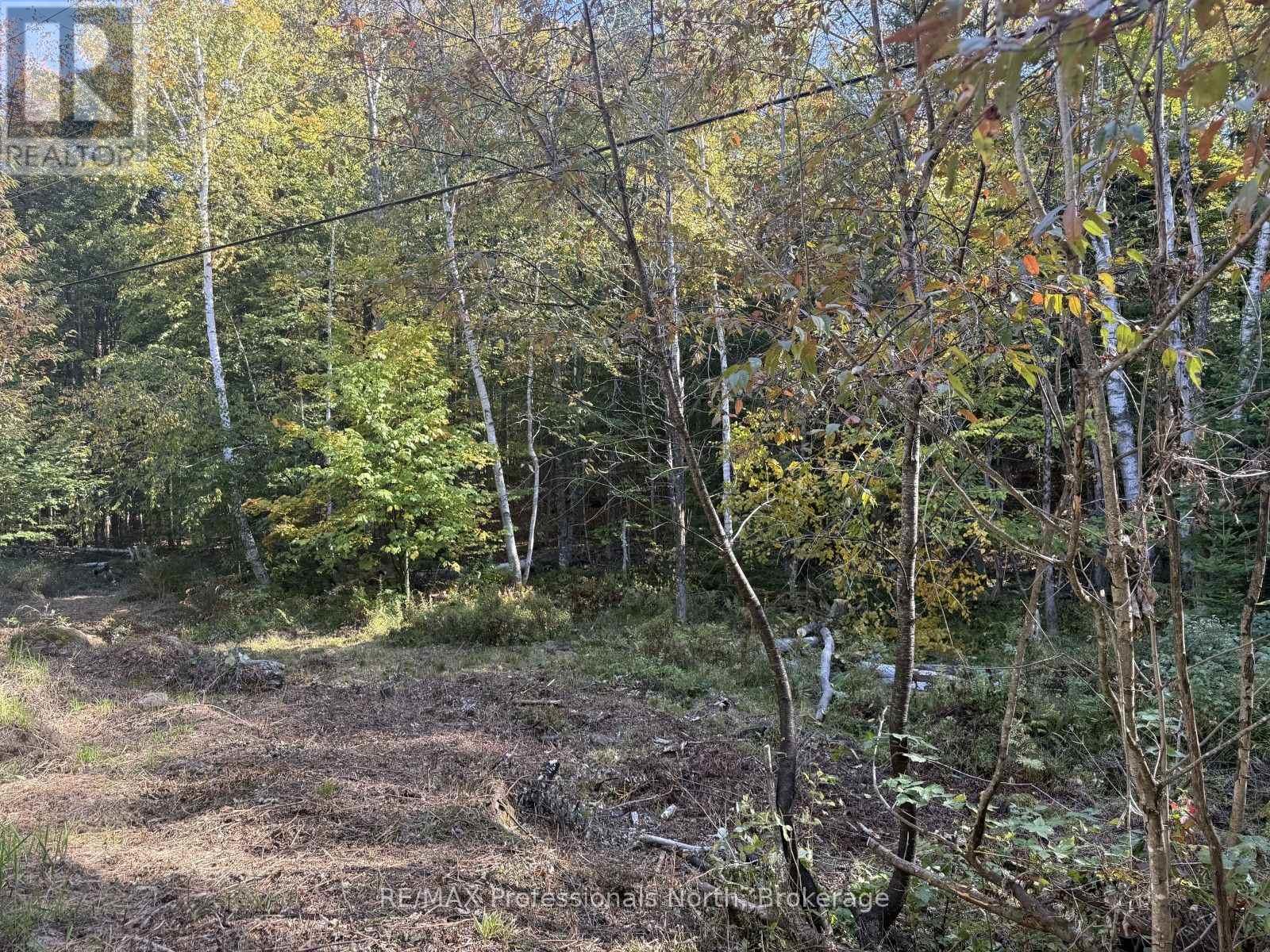 Lt 68 Pl 581 North Drive, Dysart Et Al, Ontario  K0M 1S0 - Photo 9 - X13625966