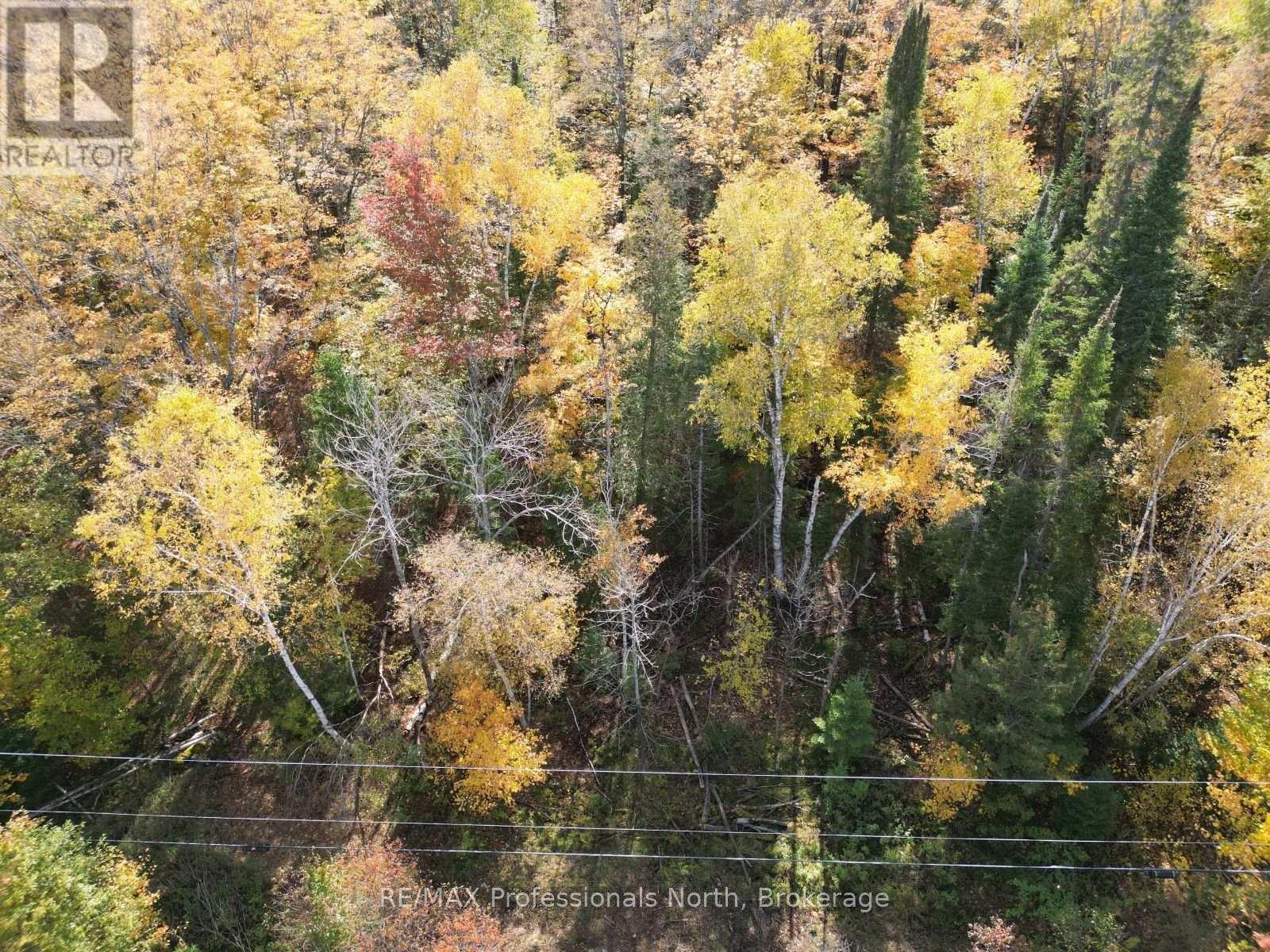 Lt 68 Pl 581 North Drive, Dysart Et Al, Ontario  K0M 1S0 - Photo 6 - X13625966
