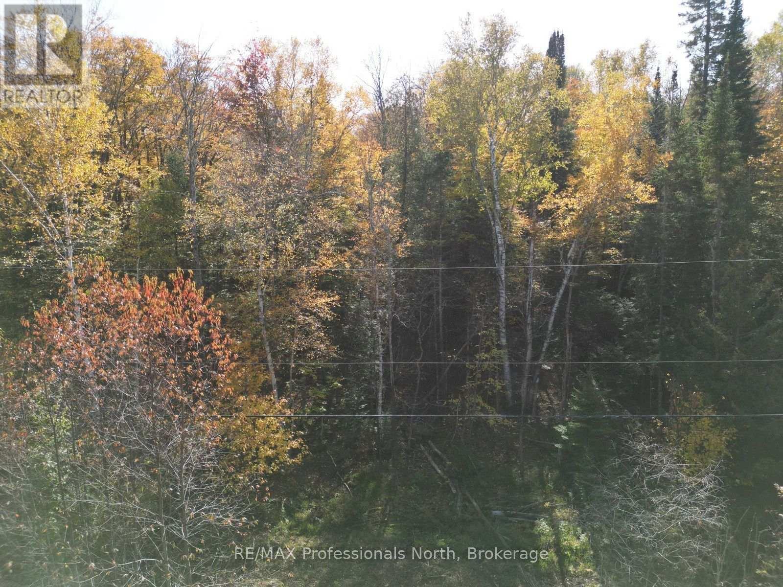 Lt 68 Pl 581 North Drive, Dysart Et Al, Ontario  K0M 1S0 - Photo 4 - X13625966