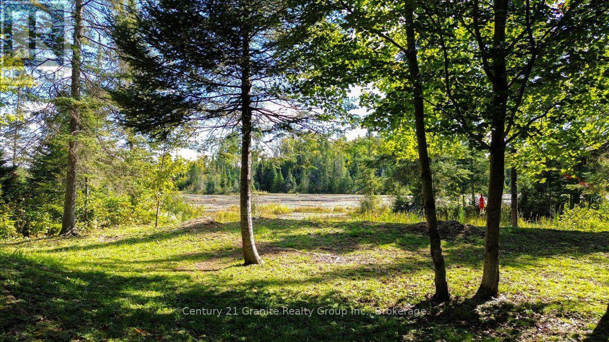 22934 62 Highway S, Limerick, Ontario  K0L 1W0 - Photo 29 - X14080944