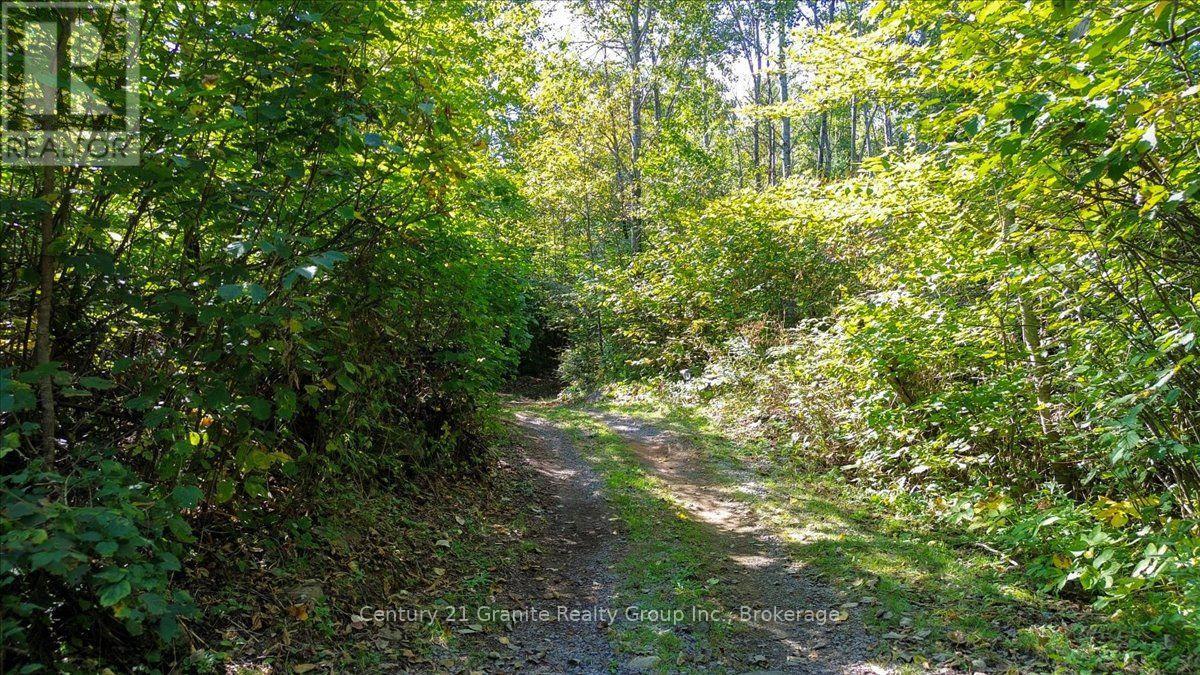 22934 62 Highway S, Limerick, Ontario  K0L 1W0 - Photo 36 - X14080944