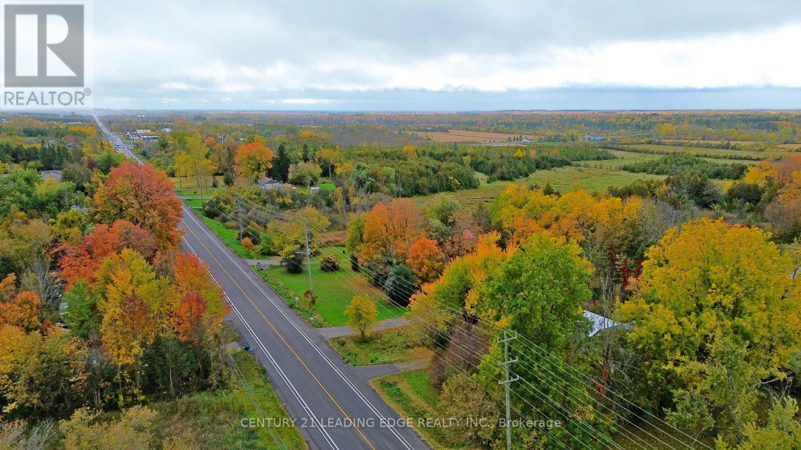31260 Lake Ridge Road, Georgina, Ontario  L0E 1E0 - Photo 11 - N14081246