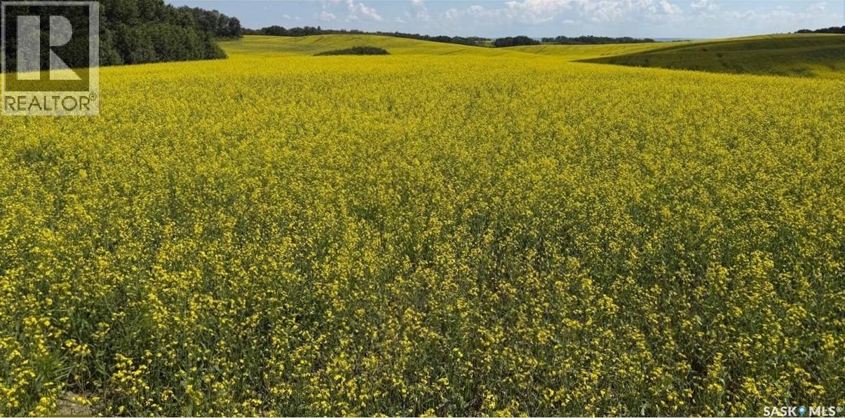 Gauthier Farm, keys rm no. 303, Saskatchewan