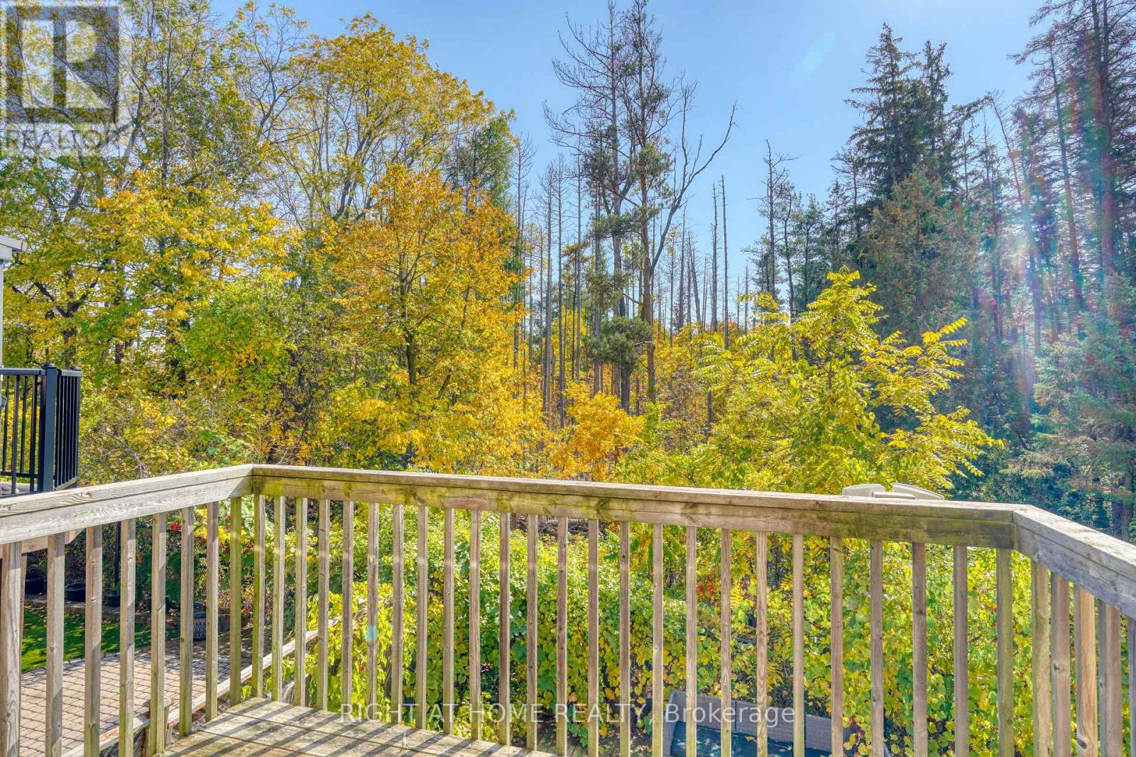 171 Maurier Boulevard, Vaughan (Patterson), Ontario  L6A 0V2 - Photo 47 - N14081416