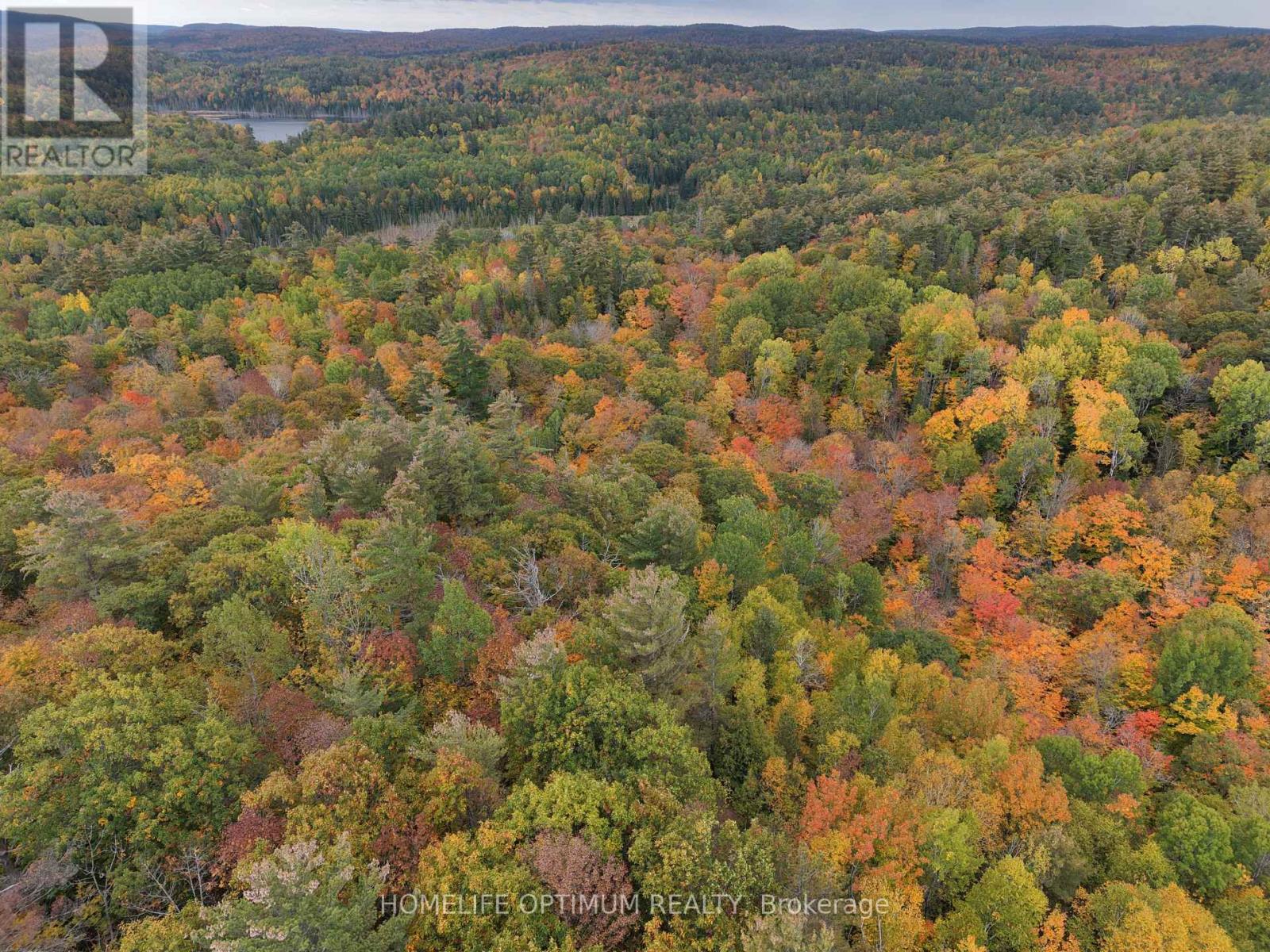 Lot 23 Con 3 Sebastopol, Bonnechere Valley, Ontario  K0J 1T0 - Photo 10 - X14081366