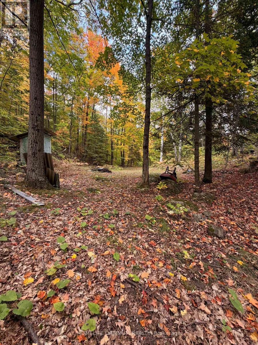 Lot 23 Con 3 Sebastopol, Bonnechere Valley, Ontario  K0J 1T0 - Photo 30 - X14081366