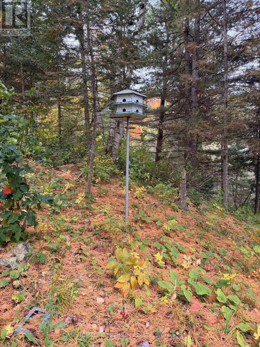 Lot 23 Con 3 Sebastopol, Bonnechere Valley, Ontario  K0J 1T0 - Photo 33 - X14081366
