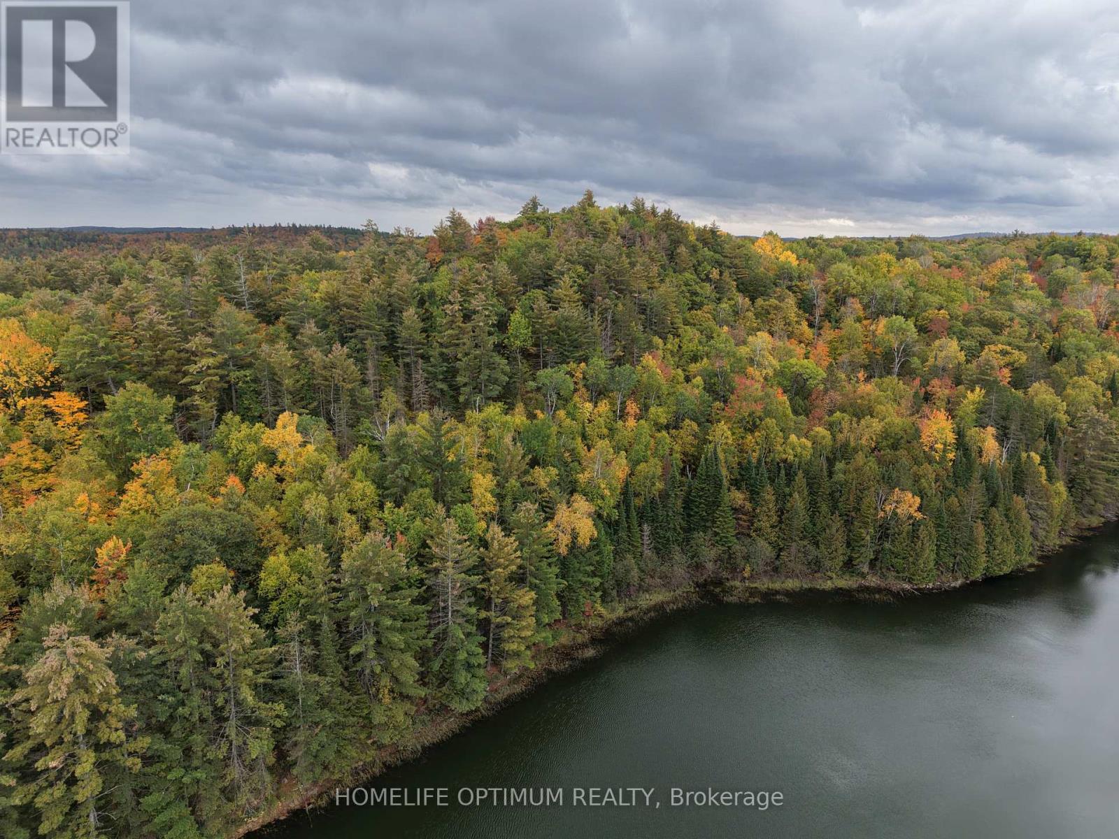 Lot 23 Con 3 Sebastopol, Bonnechere Valley, Ontario  K0J 1T0 - Photo 8 - X14081366