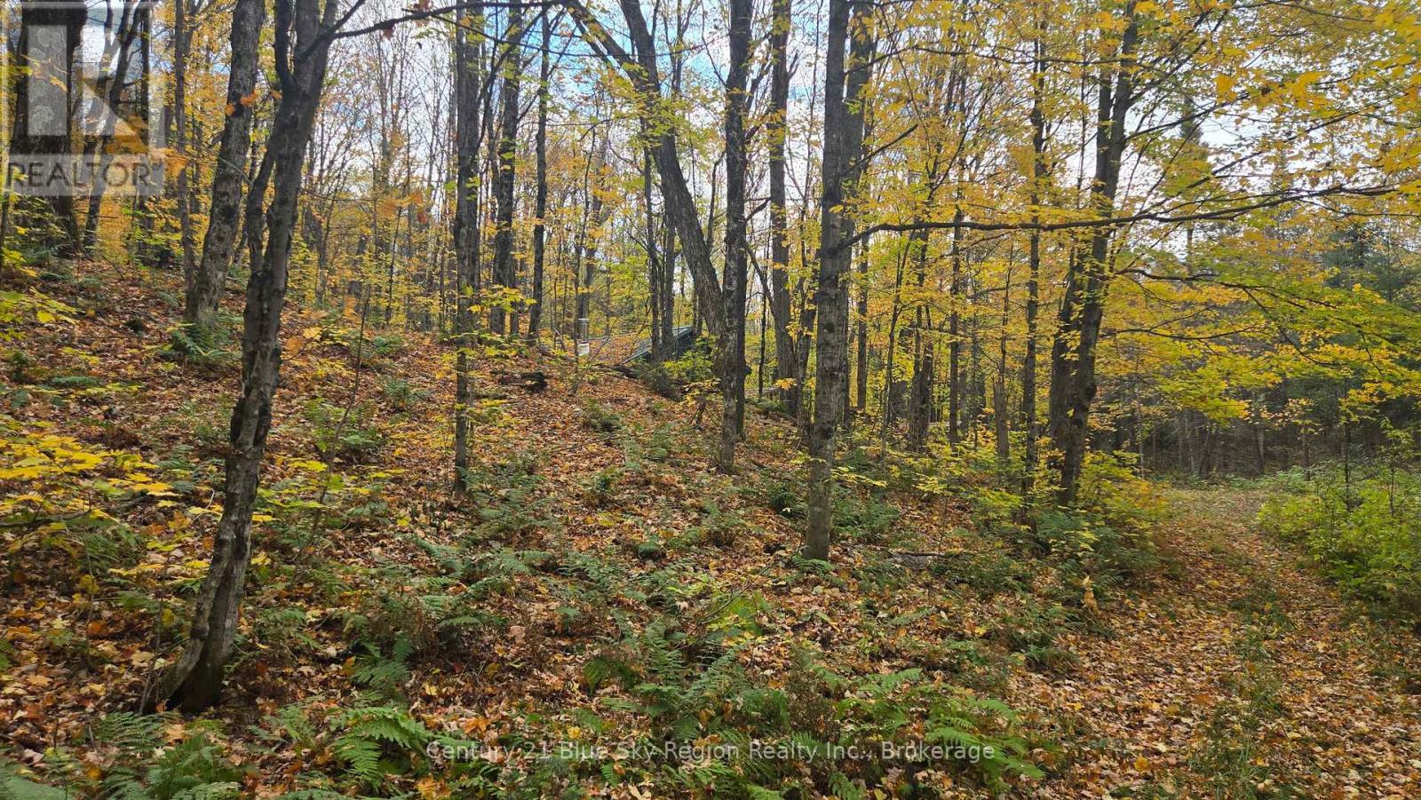 L1 15 Con 3 Ottawa Avenue, Machar, Ontario  P0A 1X0 - Photo 14 - X14081616