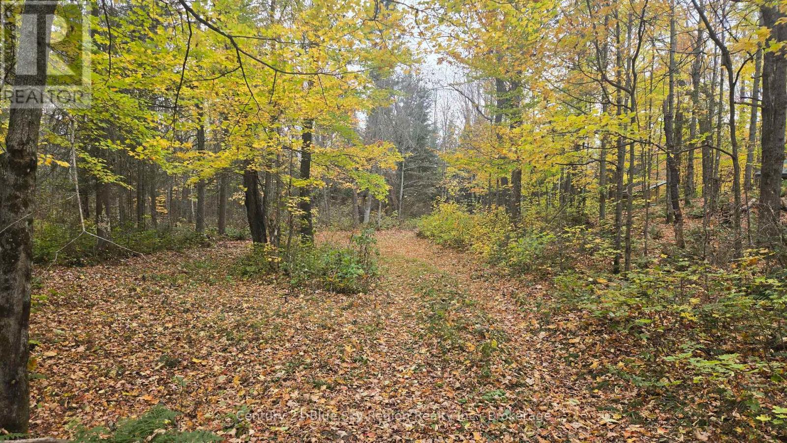 L1 15 Con 3 Ottawa Avenue, Machar, Ontario  P0A 1X0 - Photo 16 - X14081616