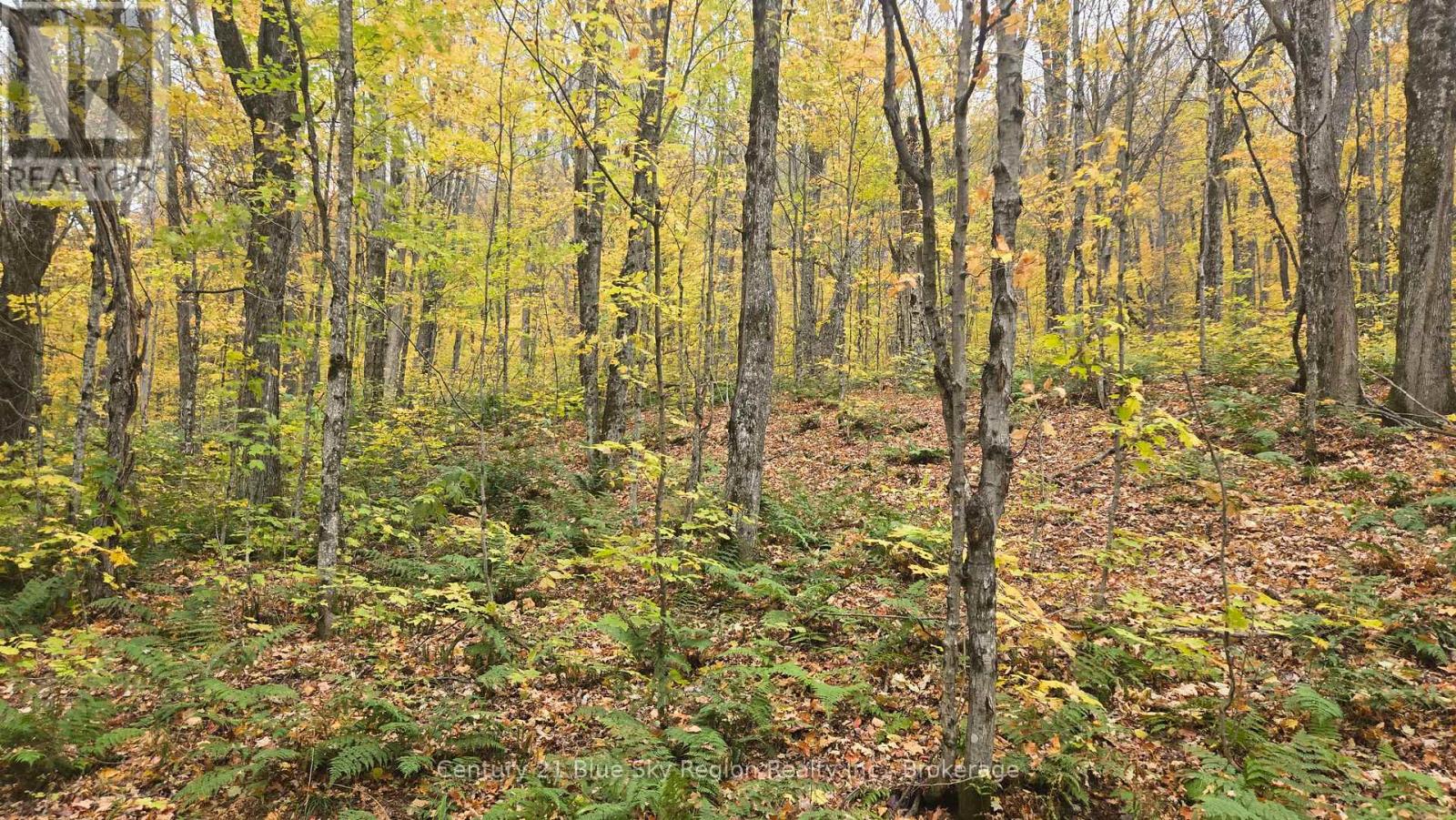 L1 15 Con 3 Ottawa Avenue, Machar, Ontario  P0A 1X0 - Photo 20 - X14081616