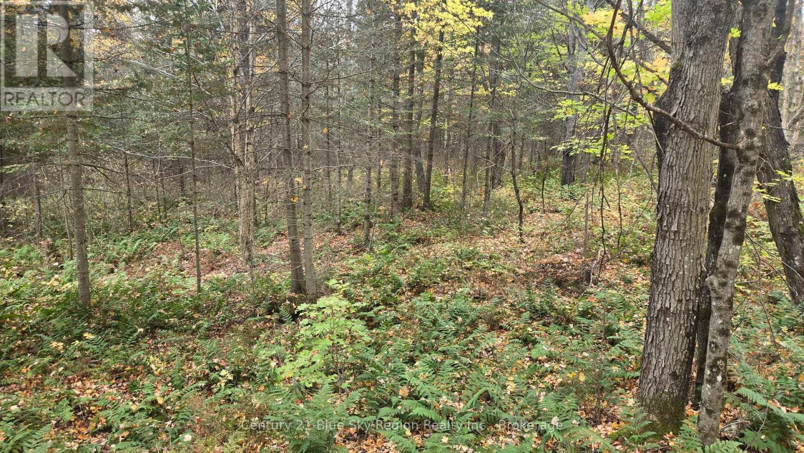 L1 15 Con 3 Ottawa Avenue, Machar, Ontario  P0A 1X0 - Photo 21 - X14081616
