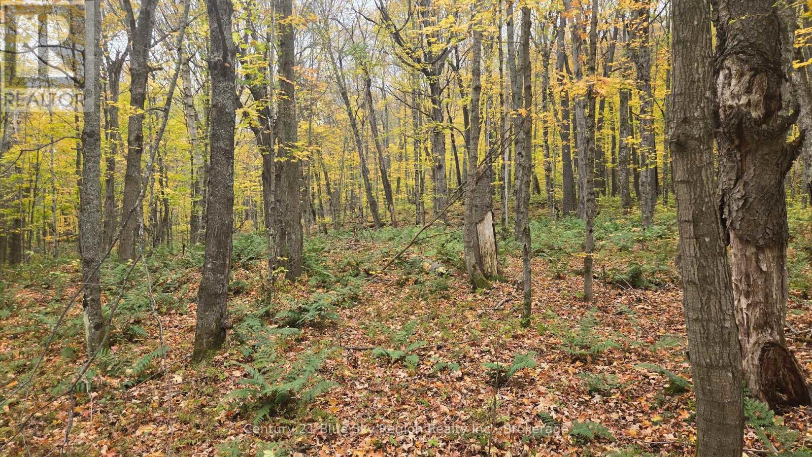 L1 15 Con 3 Ottawa Avenue, Machar, Ontario  P0A 1X0 - Photo 22 - X14081616