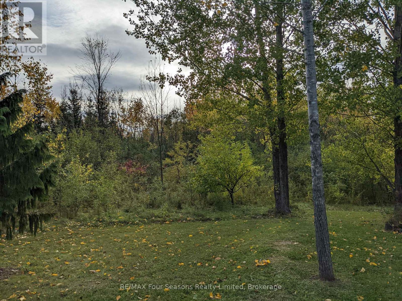 103 Robertson Avenue, Meaford, Ontario  N4L 1W7 - Photo 23 - X14081828