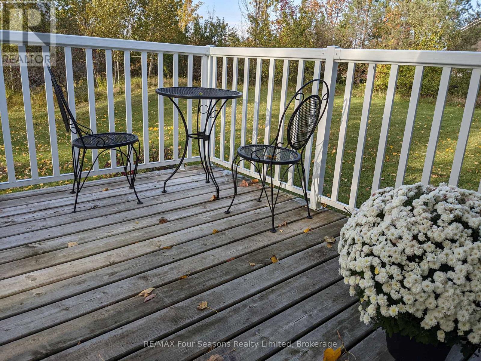 103 Robertson Avenue, Meaford, Ontario  N4L 1W7 - Photo 24 - X14081828