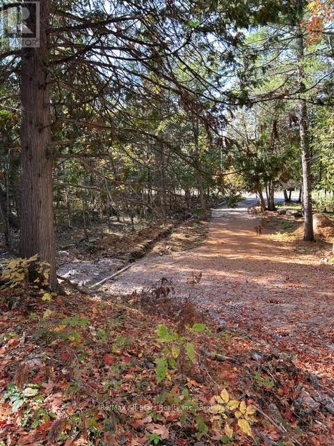 Part 1 - 0 Ledge Road, Trent Lakes, Ontario  K0M 1A0 - Photo 6 - X13740860