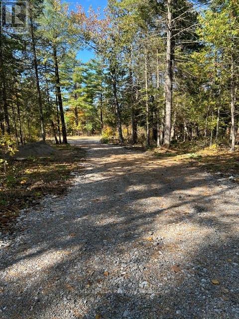 Part 2 - 0 Ledge Road, Trent Lakes, Ontario  K0M 1A0 - Photo 7 - X13740888