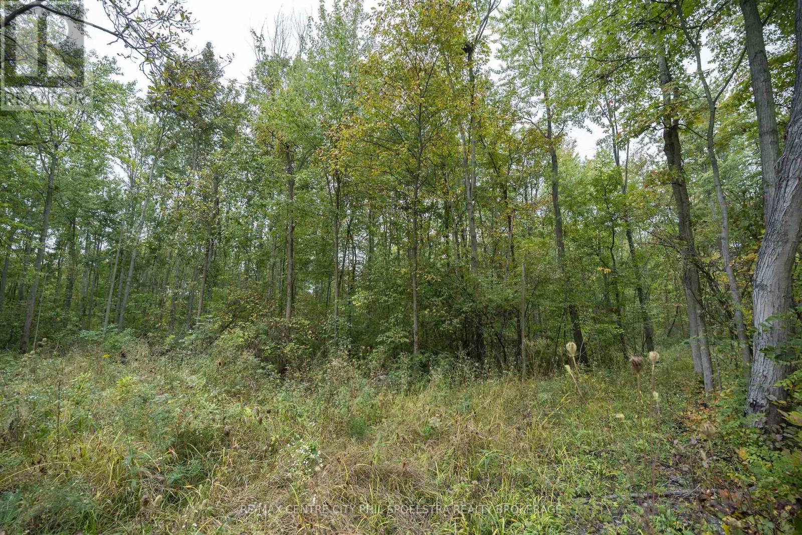 Lt 23-25 Conc 10 Holt Line, St. Clair, Ontario  N8A 4L2 - Photo 18 - X14082312