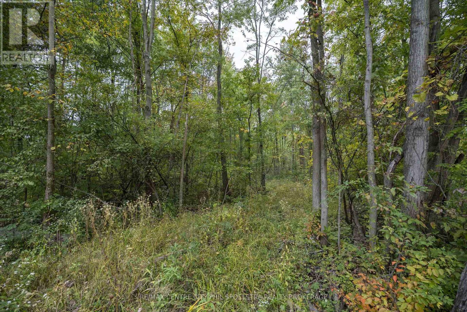 Lt 23-25 Conc 10 Holt Line, St. Clair, Ontario  N8A 4L2 - Photo 19 - X14082312