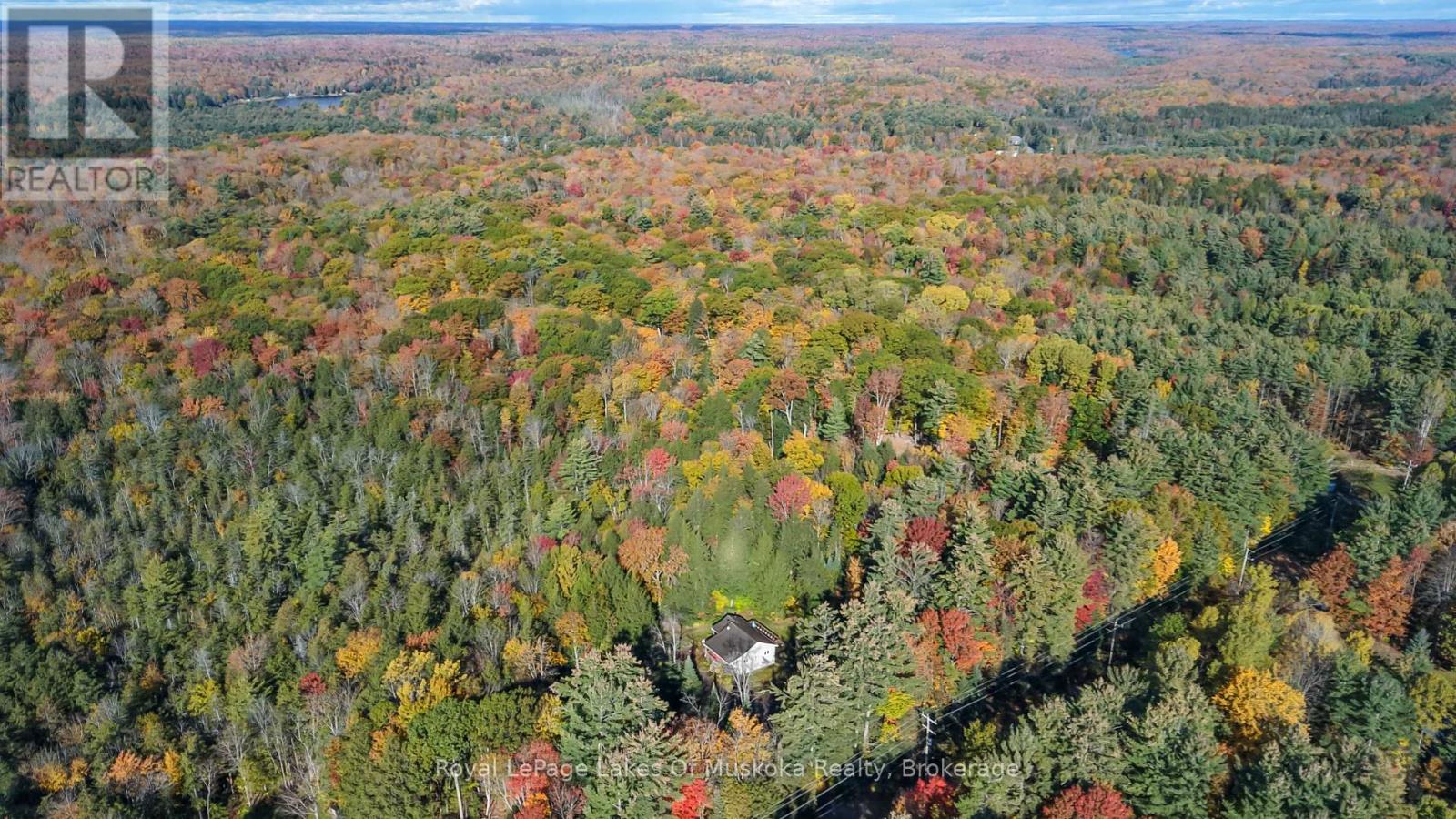 2726 Old Muskoka Road, Huntsville, Ontario  P0B 1M0 - Photo 34 - X14082272