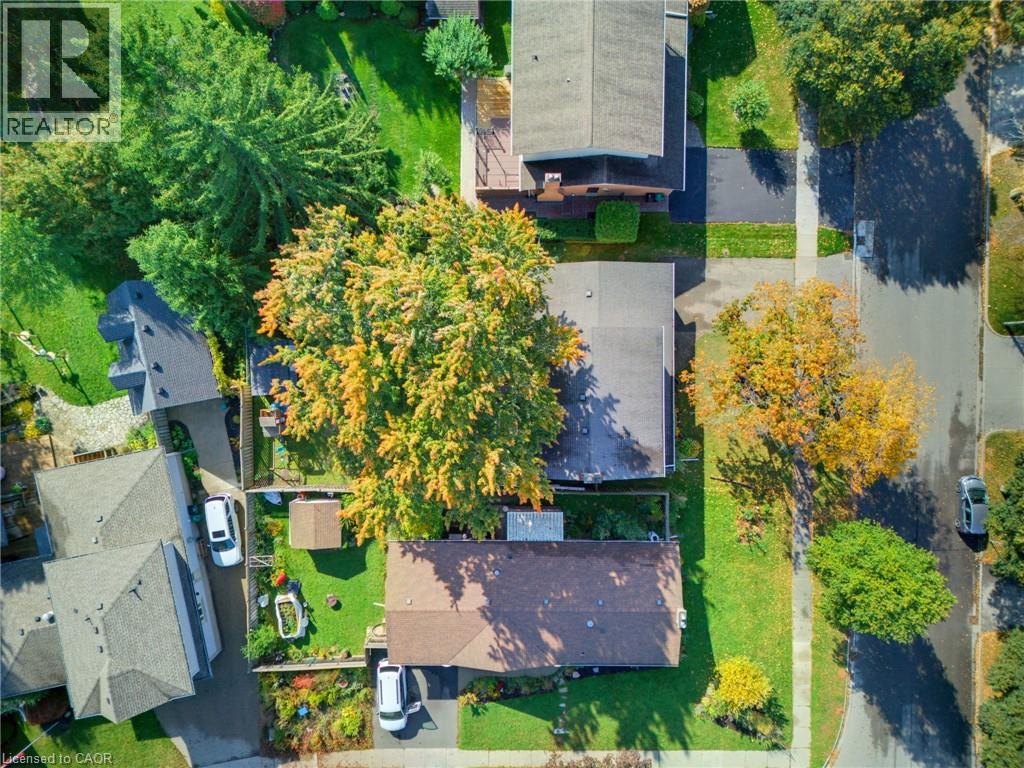 239 Carson Drive, Kitchener, Ontario  N2B 3H6 - Photo 2 - 40871538