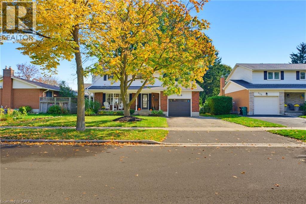 239 Carson Drive, Kitchener, Ontario  N2B 3H6 - Photo 7 - 40871538