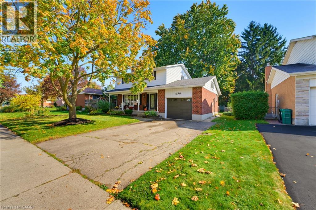 239 Carson Drive, Kitchener, Ontario  N2B 3H6 - Photo 8 - 40871538