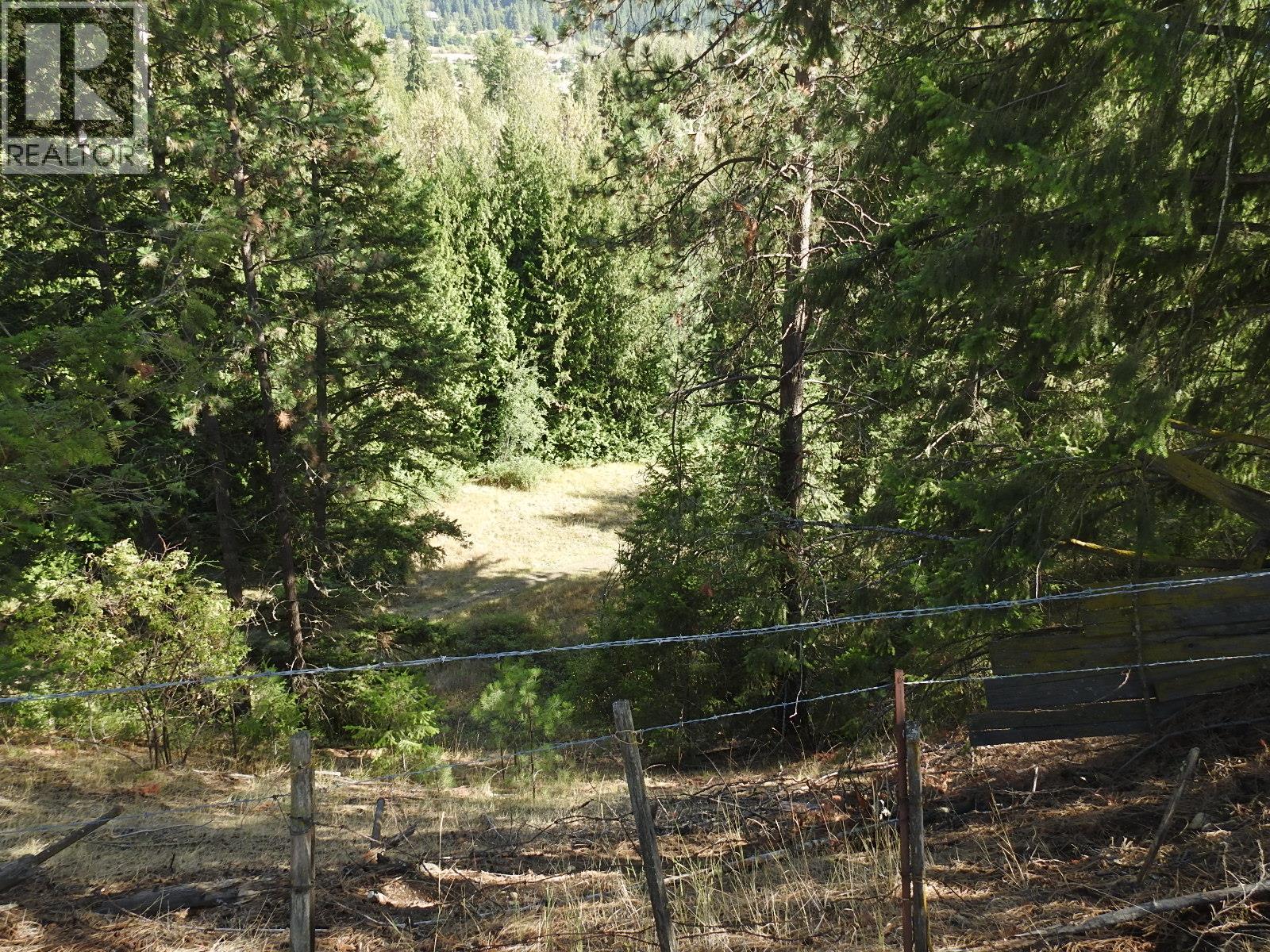 5585 Silver Star Road, Vernon, British Columbia  V1B 3P7 - Photo 28 - 10403666