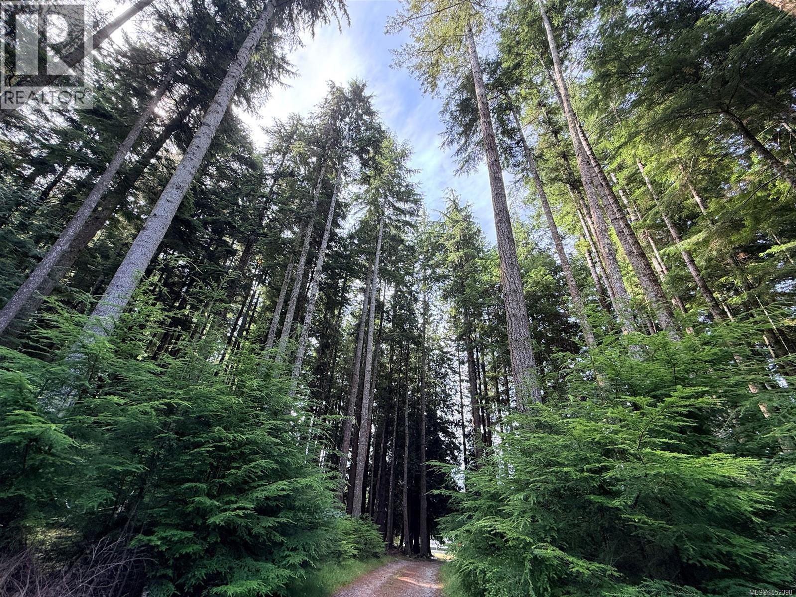 185 Kaleva Rd