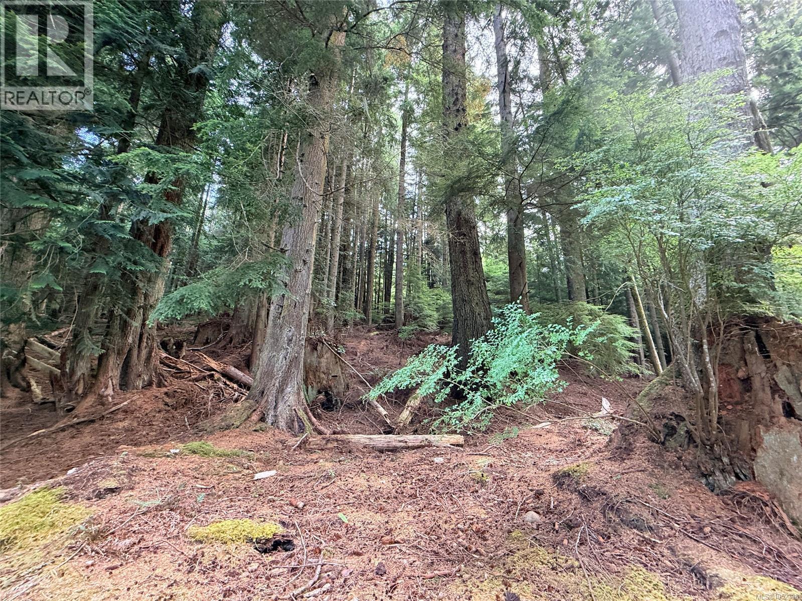 185 Kaleva Rd