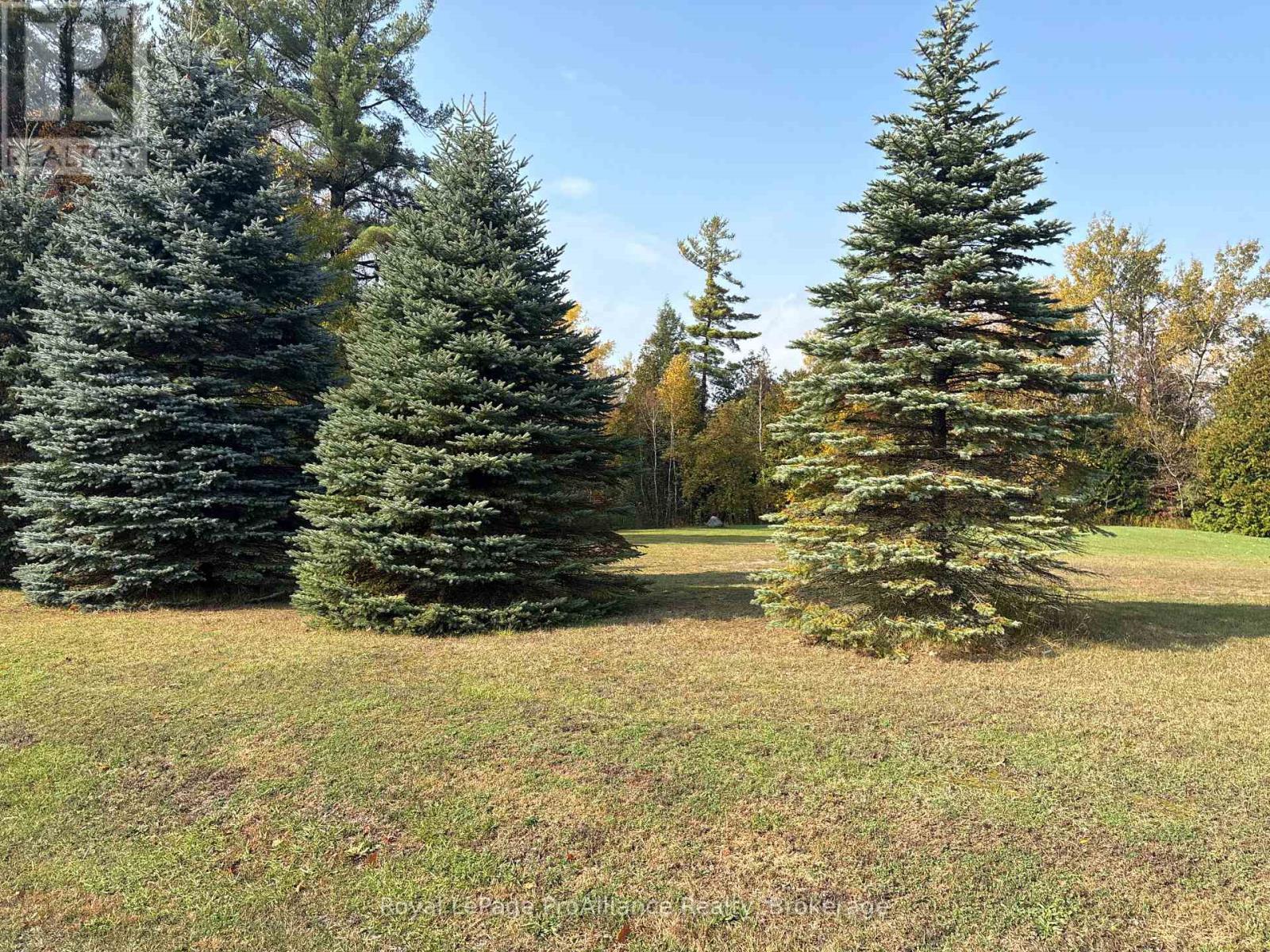 230 County Road 22, Alnwick/haldimand, Ontario  K0K 1C0 - Photo 21 - X14082392