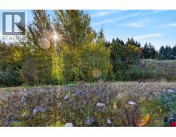 996 Bull Crescent, Kelowna, British Columbia V1W 0B6 - Photo 23 - 10401961