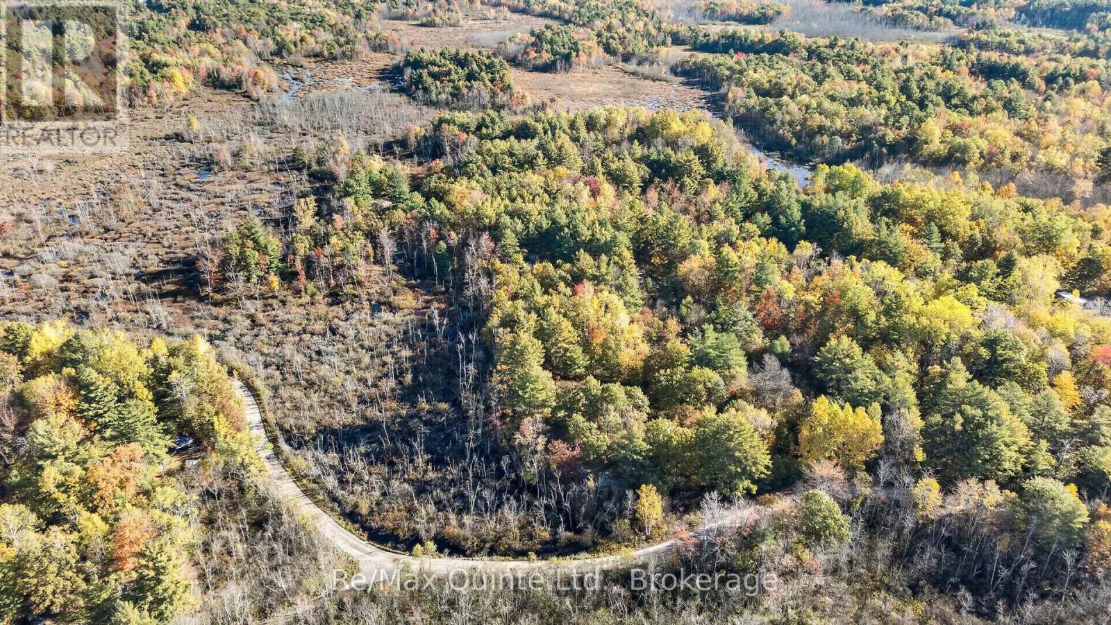87 Gull Creek Lane, Stone Mills, Ontario  K0H 1B0 - Photo 3 - X14082816