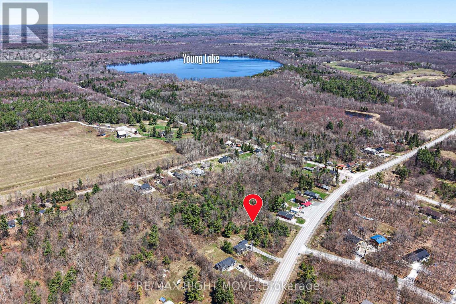 1048 Monck Road, Ramara, Ontario  L0K 1W0 - Photo 4 - S14082828