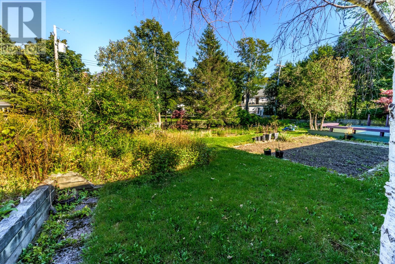 4 Sycamore Place, St. John's — photo 41