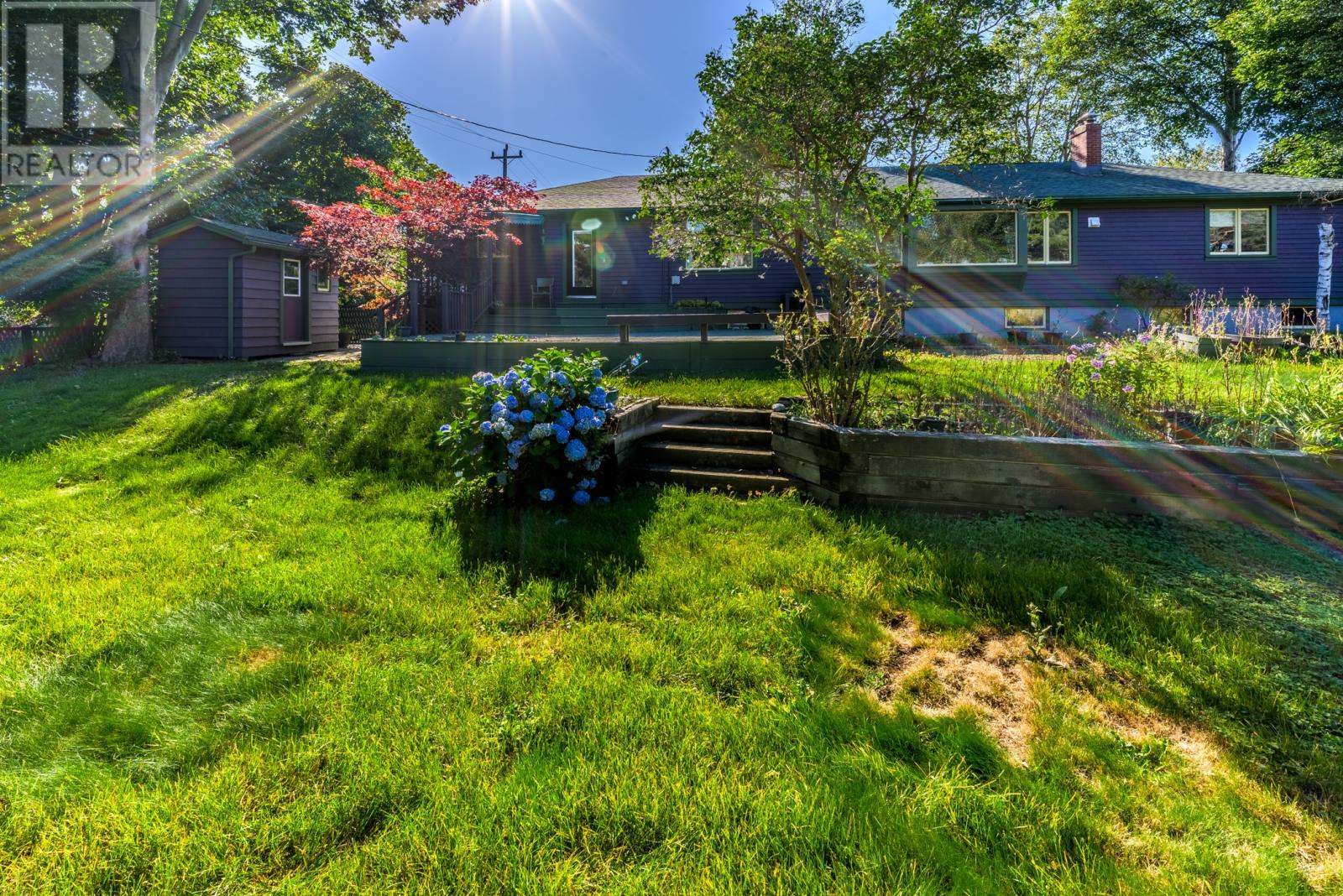 4 Sycamore Place, St. John's — photo 43