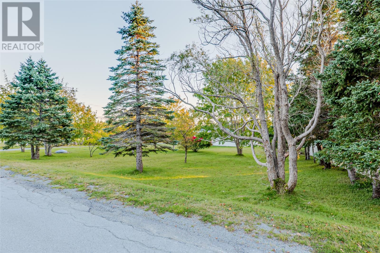 6 Back Road, Tors Cove — photo 29