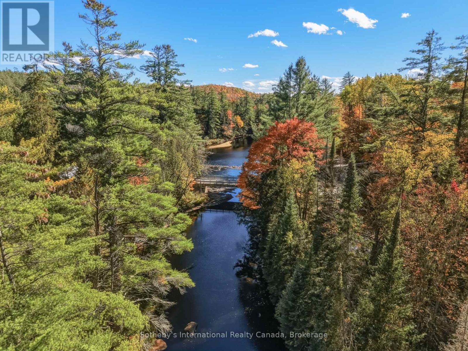 1229 Miriam Drive, Bracebridge, Ontario  P1L 1X1 - Photo 50 - X14034184
