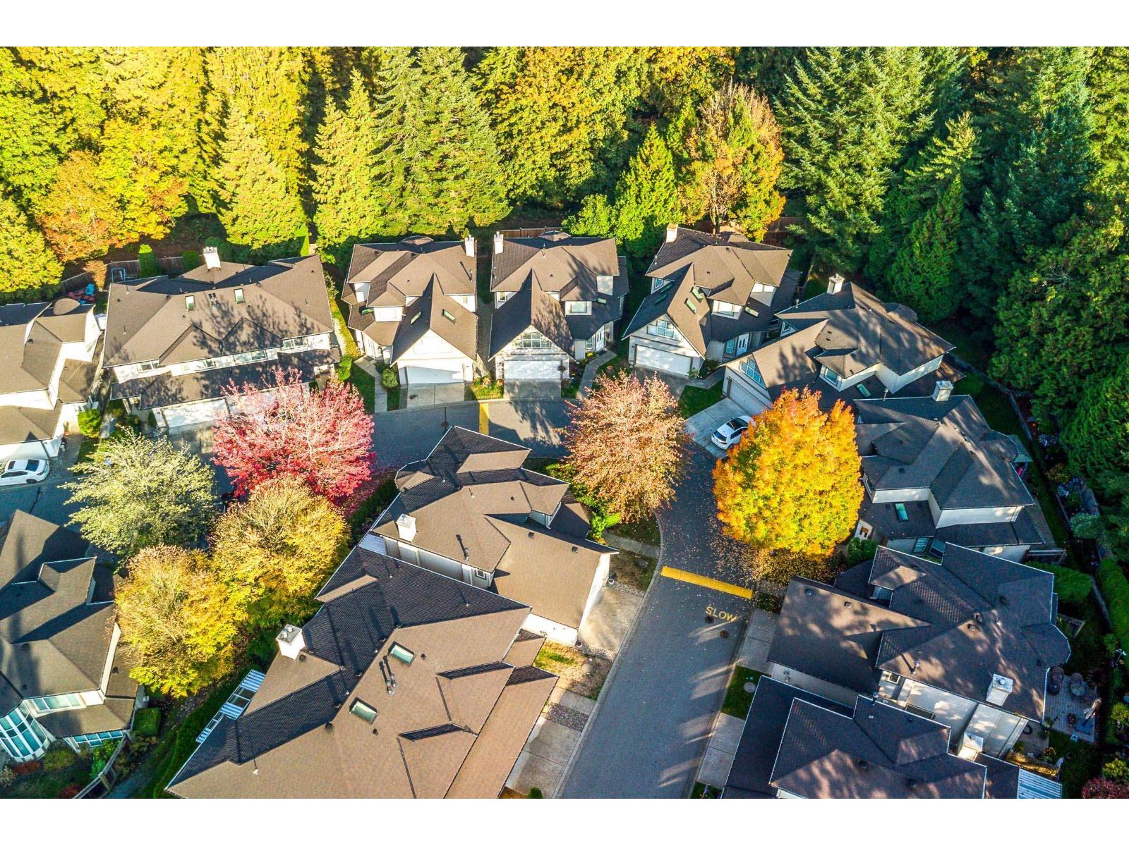 72 20881 87 Avenue, Langley, British Columbia  V1M 3X1 - Photo 29 - R3174068